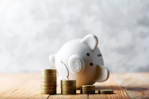 &scaron;tednja, fond za crne dane, crni dani, krizni fond, kriza, emergency fund, u&scaron;teda, tuga