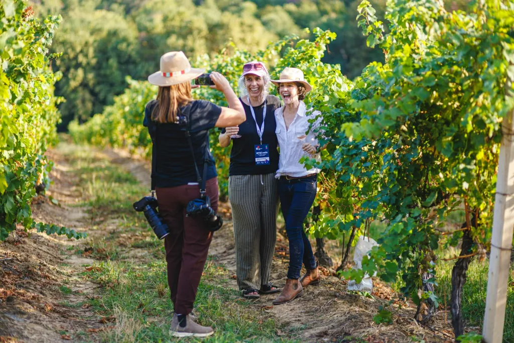 Agro invest grupa